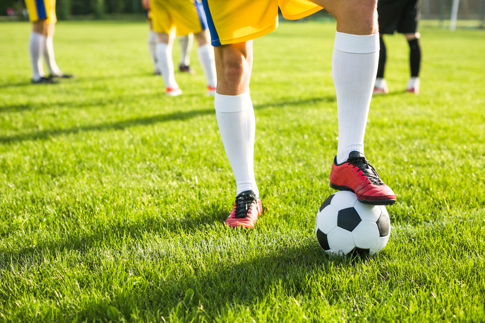 Viterbese, Camilli frena sull’acquisizione: “Documenti incompleti e debiti da valutare”