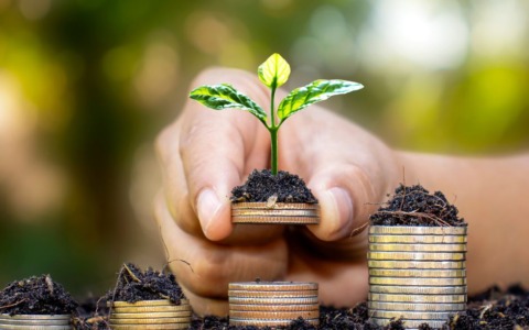 Crescita economica: segnali positivi nel primo semestre 2025