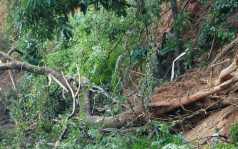 Rischio frane, le aree più vulnerabili