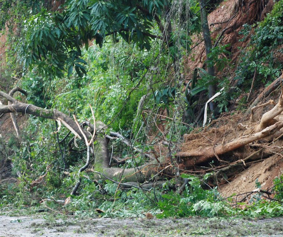 Rischio frane, le aree più vulnerabili