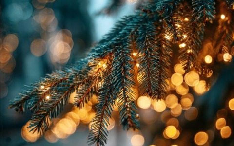 Viterbo si prepara al Natale: un programma ricco di luci, eventi e condivisione