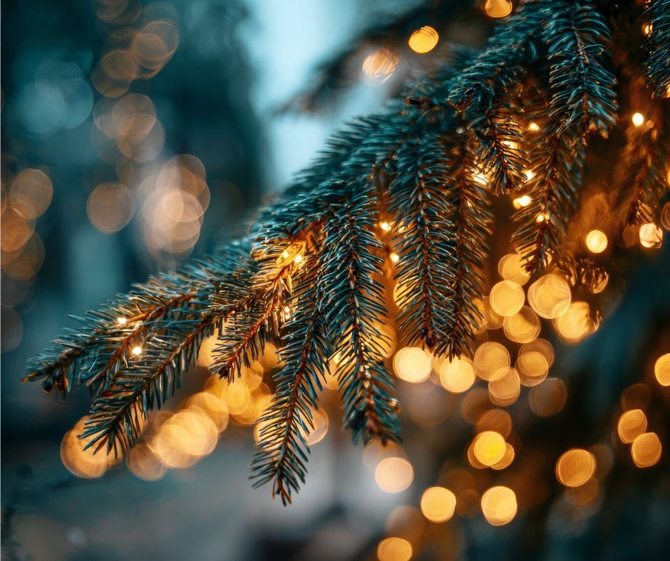 Viterbo si prepara al Natale: un programma ricco di luci, eventi e condivisione