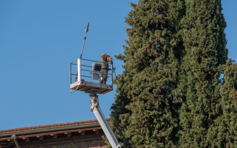 Intervento di potatura degli alberi: modifiche alla viabilità in arrivo
