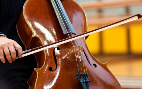 Furto di una viola di pregio a Viterbo: arrestato un uomo in via Marconi