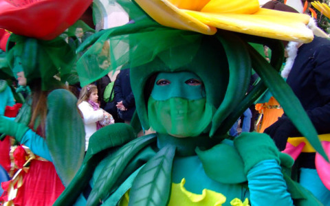 Carnevale di Ronciglione, il carro di “Ballando con le stelle” divide il web