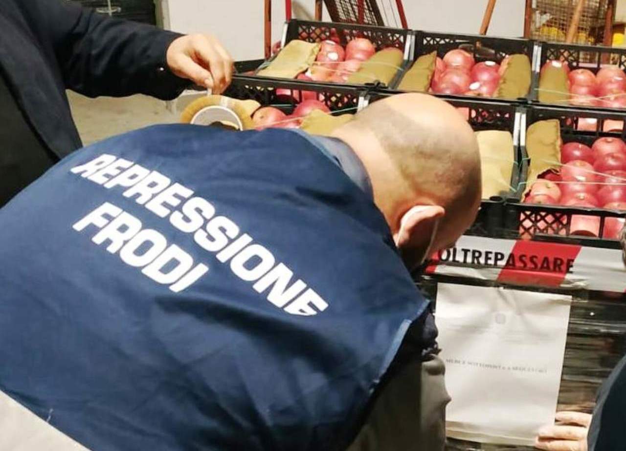 Blitz nei minimarket: 22 multe e sei sequestri per irregolarità su tracciabilità e prezzi