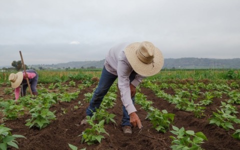 Chiesto il processo per i fratelli calevi per sfruttamento di 104 braccianti