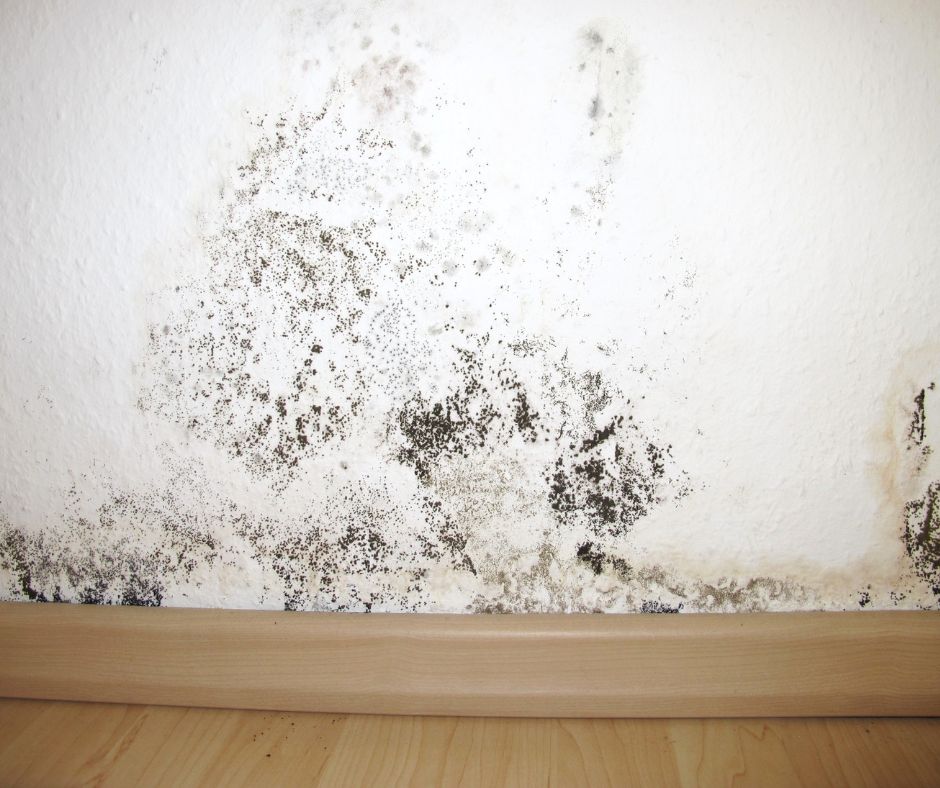 Inquilini Ater esasperati da infiltrazioni d’acqua e umidità diffusa negli appartamenti