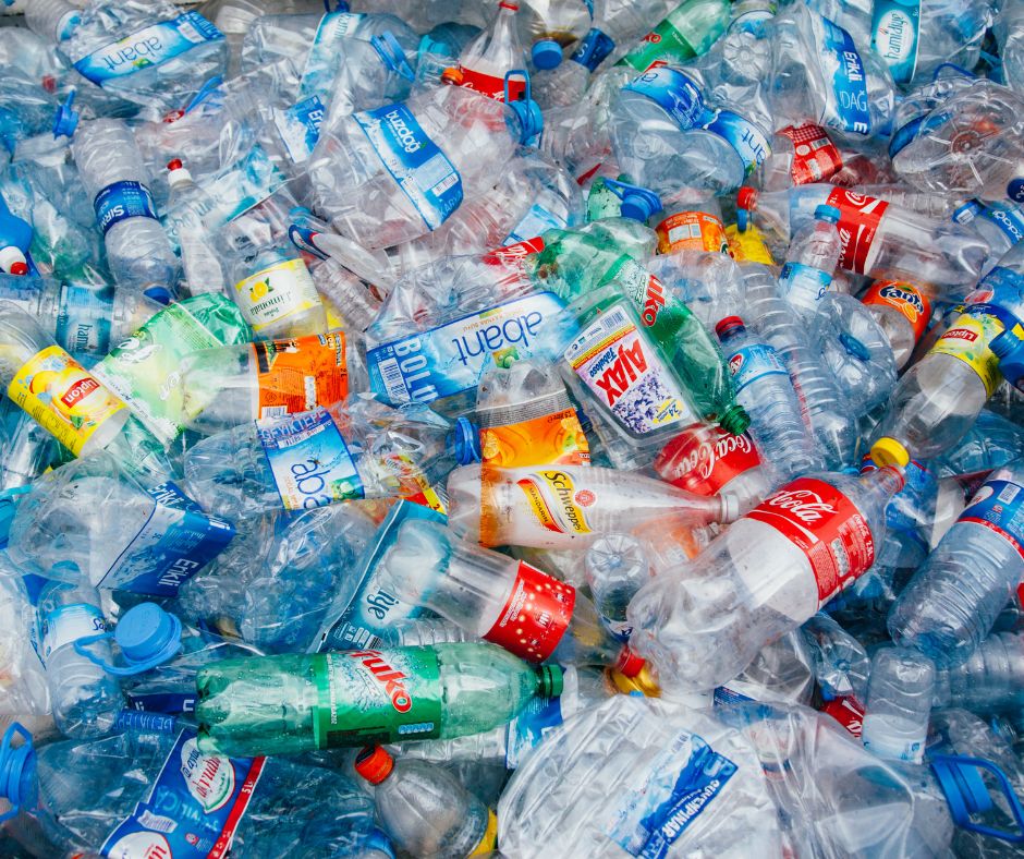 Raccolte oltre 36 tonnellate di plastica nel Lazio nel 2025 grazie a Plastic Free Onlus