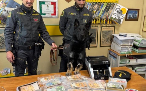Sequestro di oltre 157 mila euro in contanti e droga