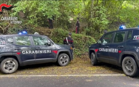 Carabinieri distruggono una rete di spaccio nel Viterbese