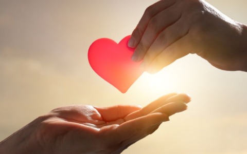 Gabriele Costantino, il 13enne di Tarquinia morto per meningite: i genitori donano gli organi in un gesto di straordinaria umanità