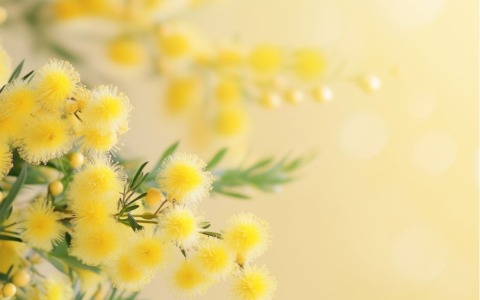 Viterbo Sotterranea: Visite Guidate Esclusive per la Giornata Internazionale della Donna