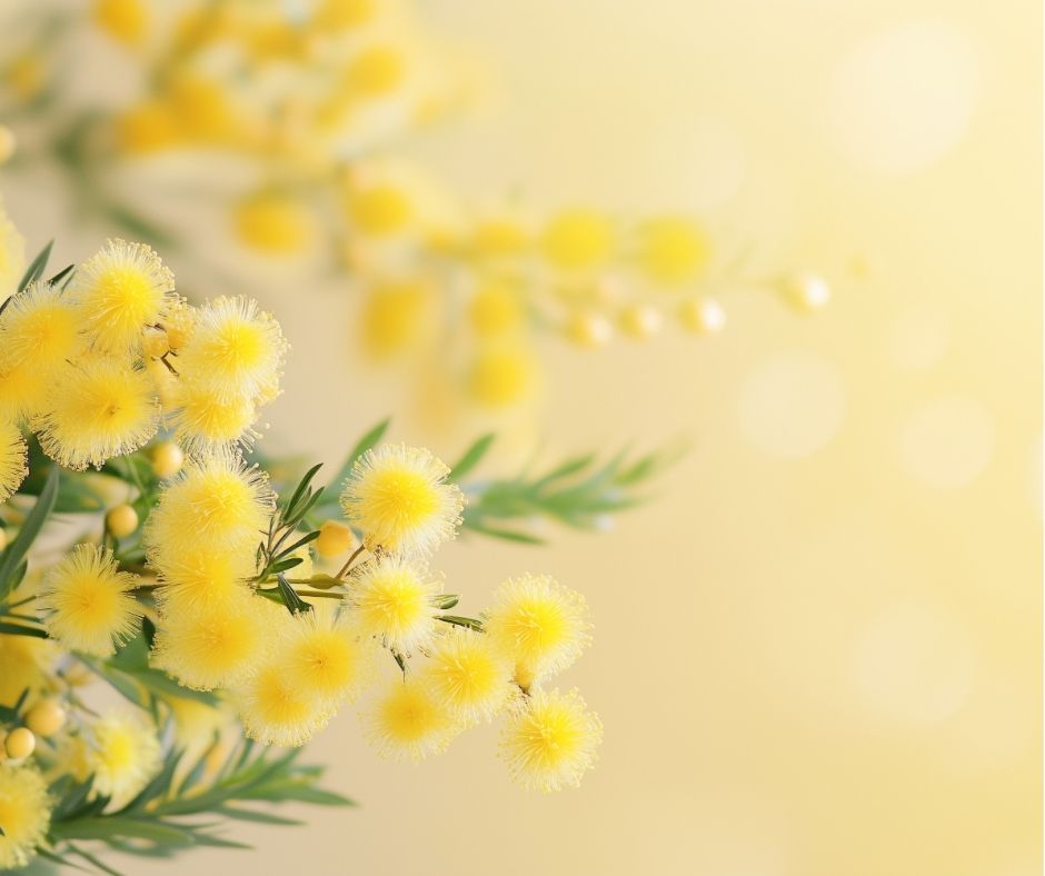 Viterbo Sotterranea: Visite Guidate Esclusive per la Giornata Internazionale della Donna