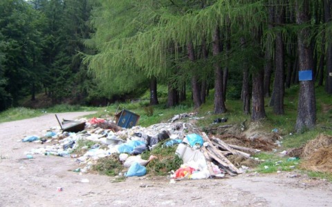 Abbandono di rifiuti in un bosco a Vetralla: denunciato un residente con multa fino a 18mila euro