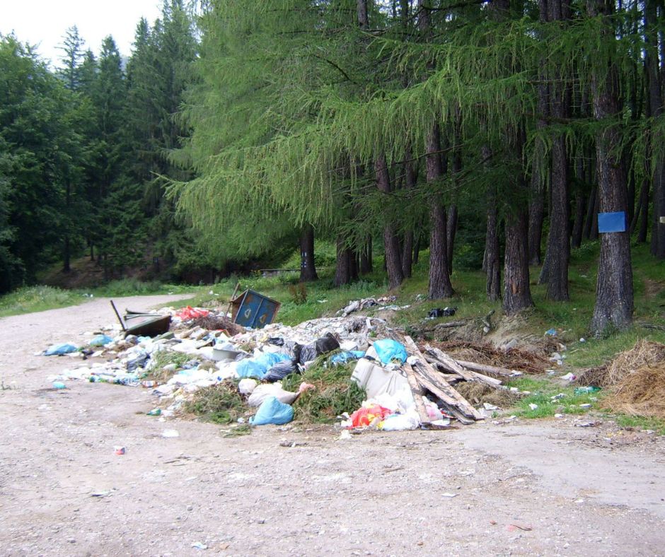 Abbandono di rifiuti in un bosco a Vetralla: denunciato un residente con multa fino a 18mila euro