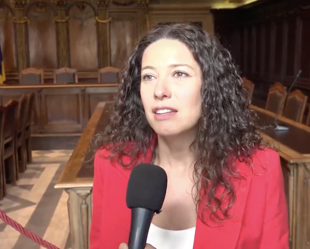 Case Green, Sberna (FdI-ECR): “Infrazione non colpa Stati membri ma direttiva”