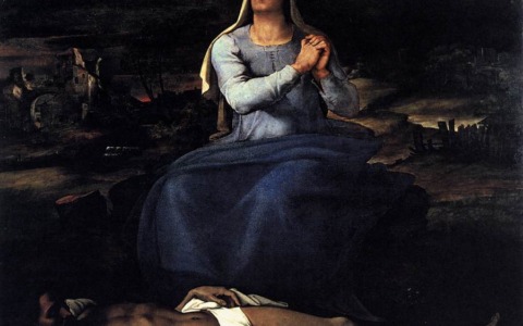 Scoperte sensazionali confermano il coinvolgimento di Michelangelo nelle opere di Sebastiano del Piombo a Viterbo