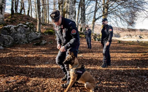 Denunciato per abbandono di scarti di macellazione dai Carabinieri Forestali