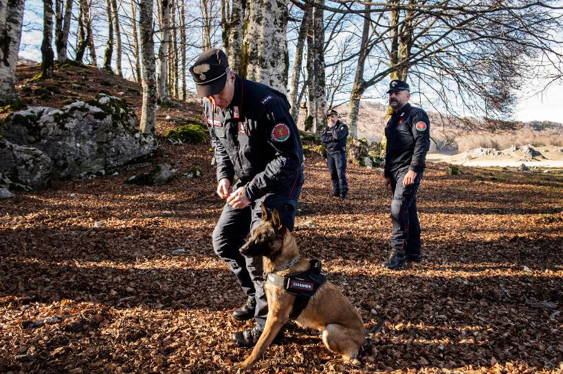 Denunciato per abbandono di scarti di macellazione dai Carabinieri Forestali