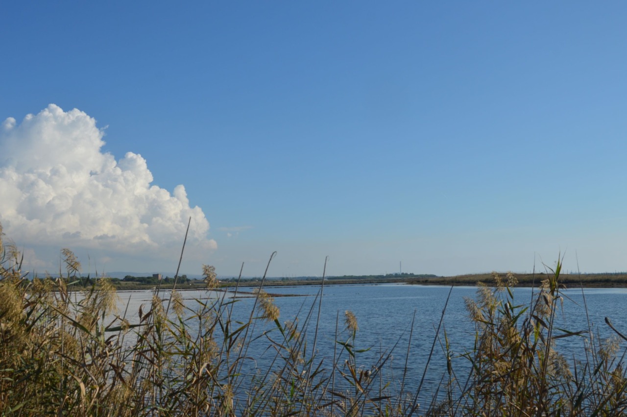 Presentato il masterplan per il recupero delle Saline di Tarquinia