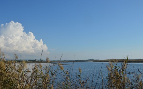 Presentato il masterplan per il recupero delle Saline di Tarquinia