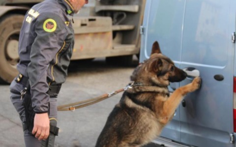 Smantellato il “call center” della droga tra Tarquinia e Santa Marinella: 10 arresti