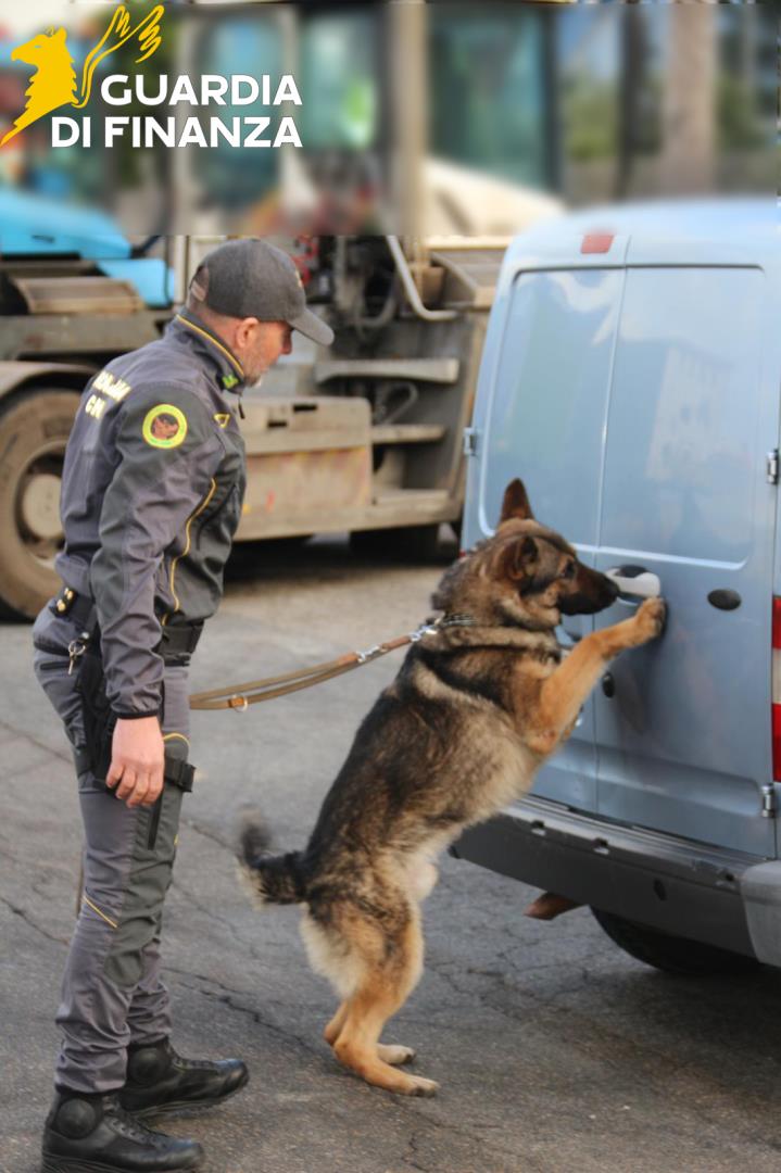 Smantellato il “call center” della droga tra Tarquinia e Santa Marinella: 10 arresti